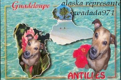alaska aka la folle